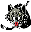 Chicago Wolves Hockey Team