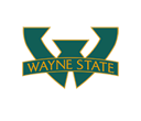 Wayne State University, Football Team